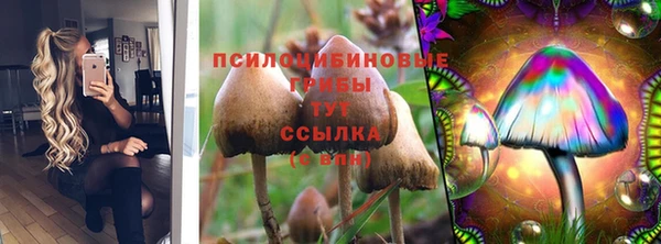 скорость Белокуриха
