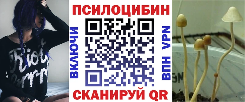 Псилоцибиновые грибы прущие грибы  кракен зеркало  Володарск  где купить наркотик 